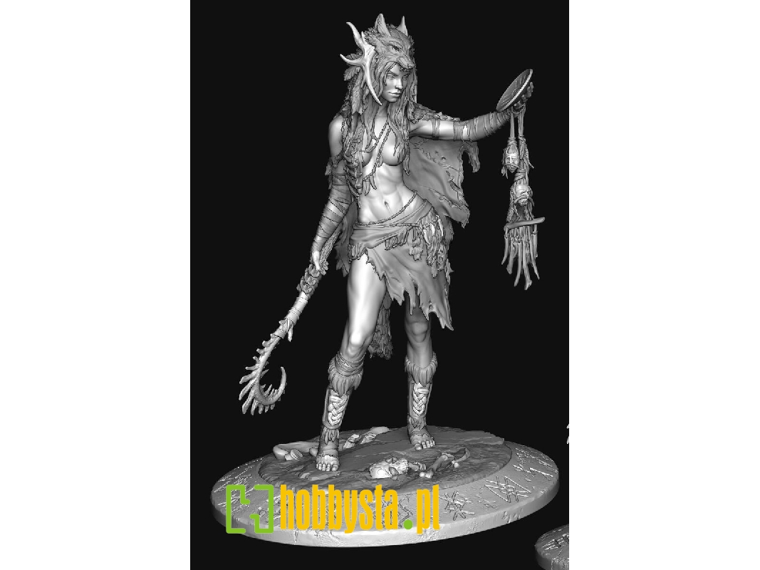 Northen European Tribal Shaman - image 1