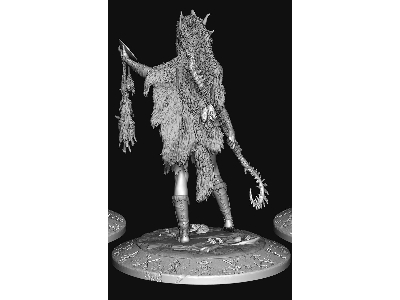 Northen European Tribal Shaman - image 4