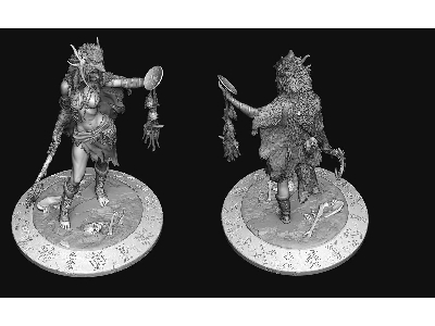 Northen European Tribal Shaman - image 5