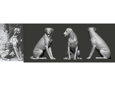 German Wwi Ace - Manfred Von Richthofen And Hund Moritz - image 1