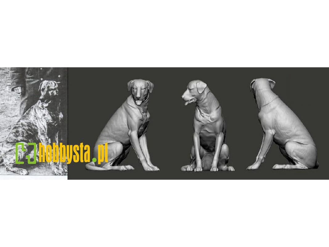 German Wwi Ace - Manfred Von Richthofen And Hund Moritz - image 1