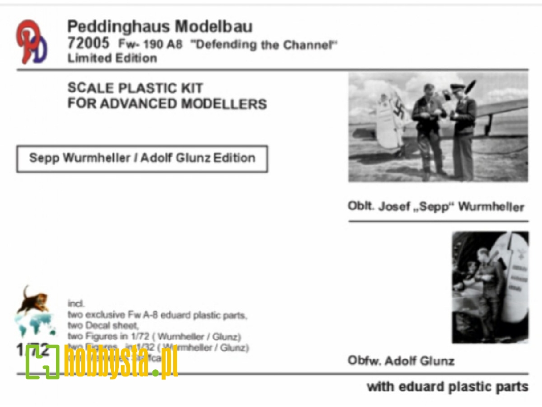 Focke Wulf Fw-190 A-8 - Wurmheller / Glunz - image 1