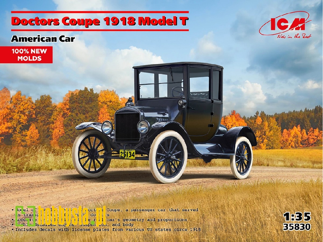 Doctors Coupe 1918 Model T - image 1