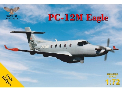 Pilatus Pc-12 M Eagle - image 1