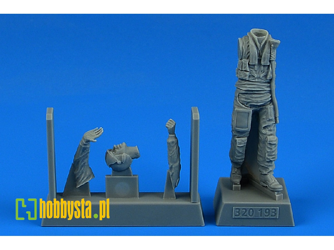 Modern Nato Fighter Pilot - image 1