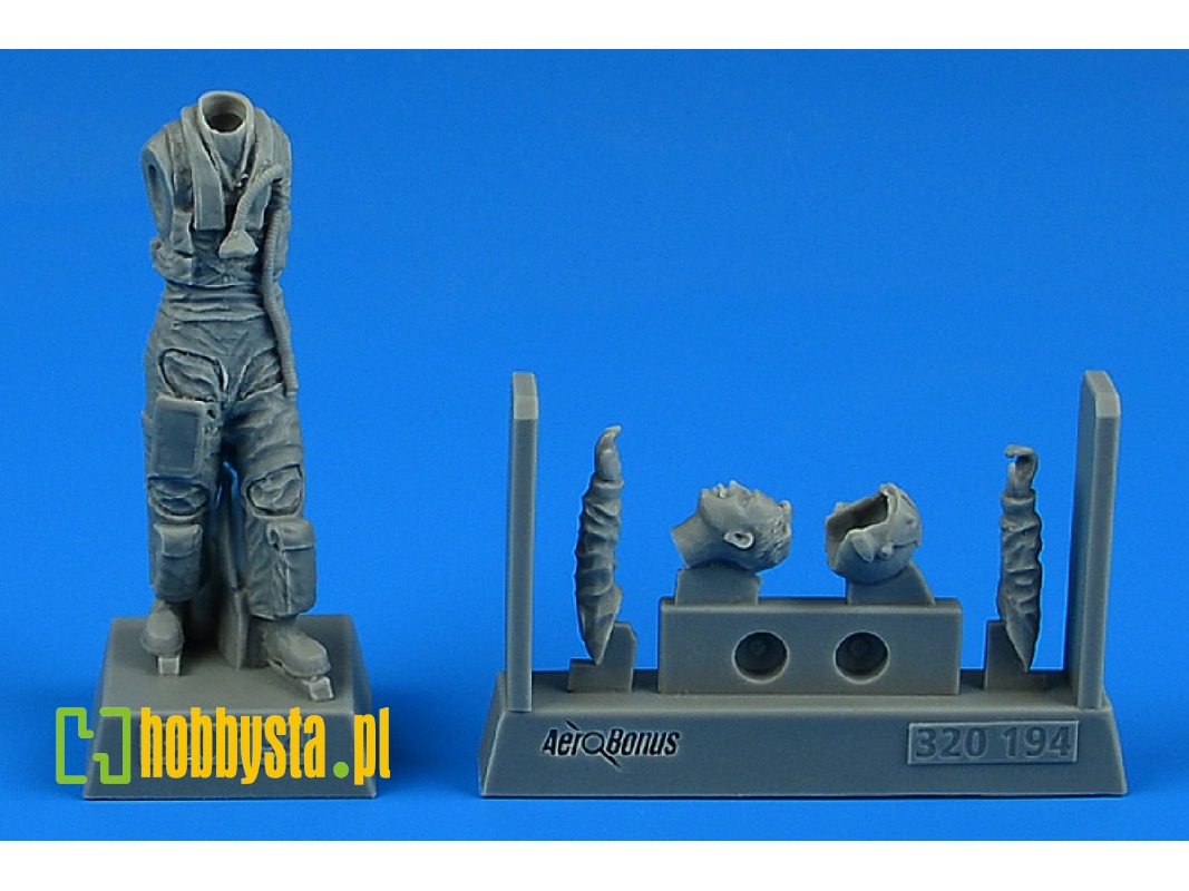 Modern Nato Fighter Pilot - image 1