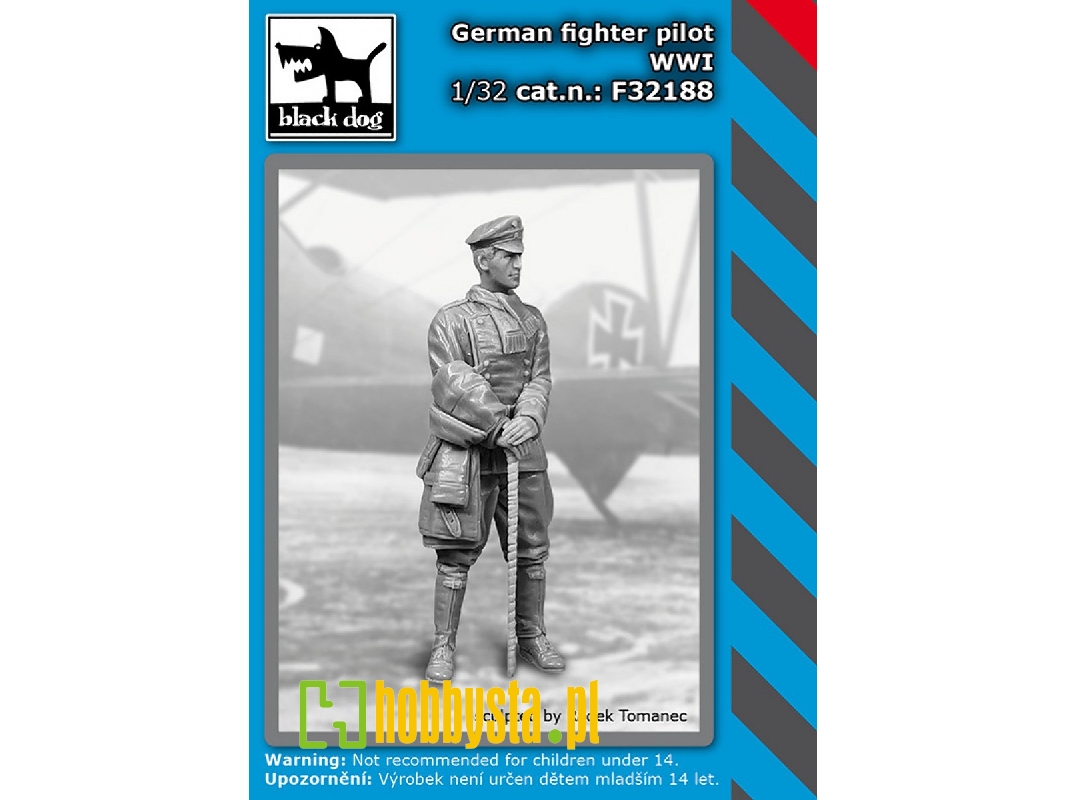 German Wwi Fighter Pilot - image 1