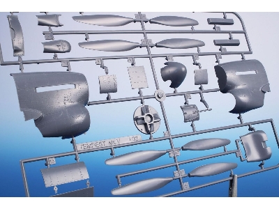 Tempest Mk.V - 'doodle-bug Hunters' - image 2