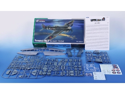 Tempest Mk.V - 'doodle-bug Hunters' - image 6