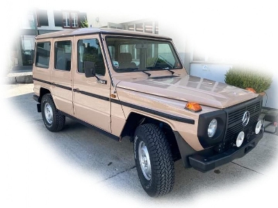 4x4 Lkw 0,5t Gl Typ 460 - image 1