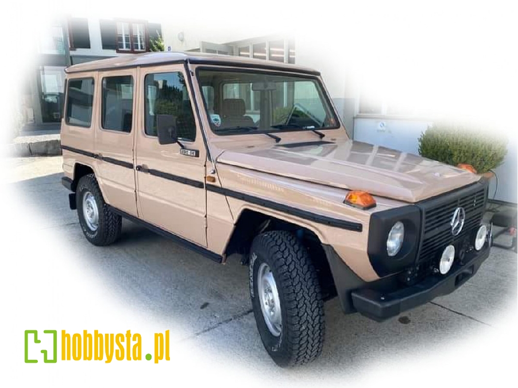 4x4 Lkw 0,5t Gl Typ 460 - image 1