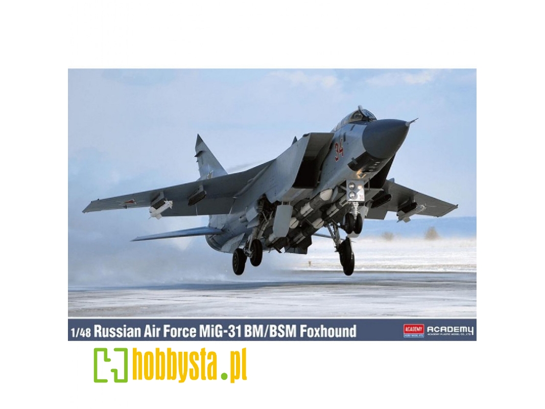 Mig-31 Bm / Bsm Foxhound - Russian Air Force - image 1