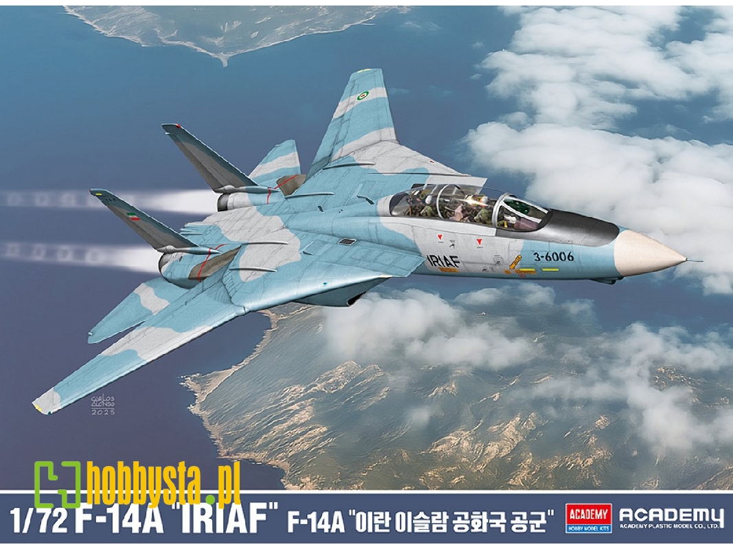 Grumman F-14 A Tomcat - Iranian Air Force - image 1