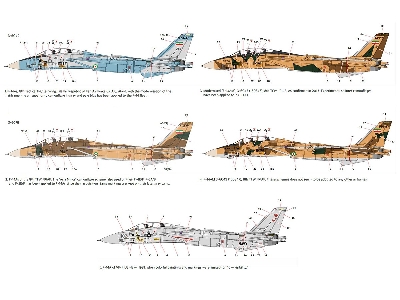 Grumman F-14 A Tomcat - Iranian Air Force - image 3