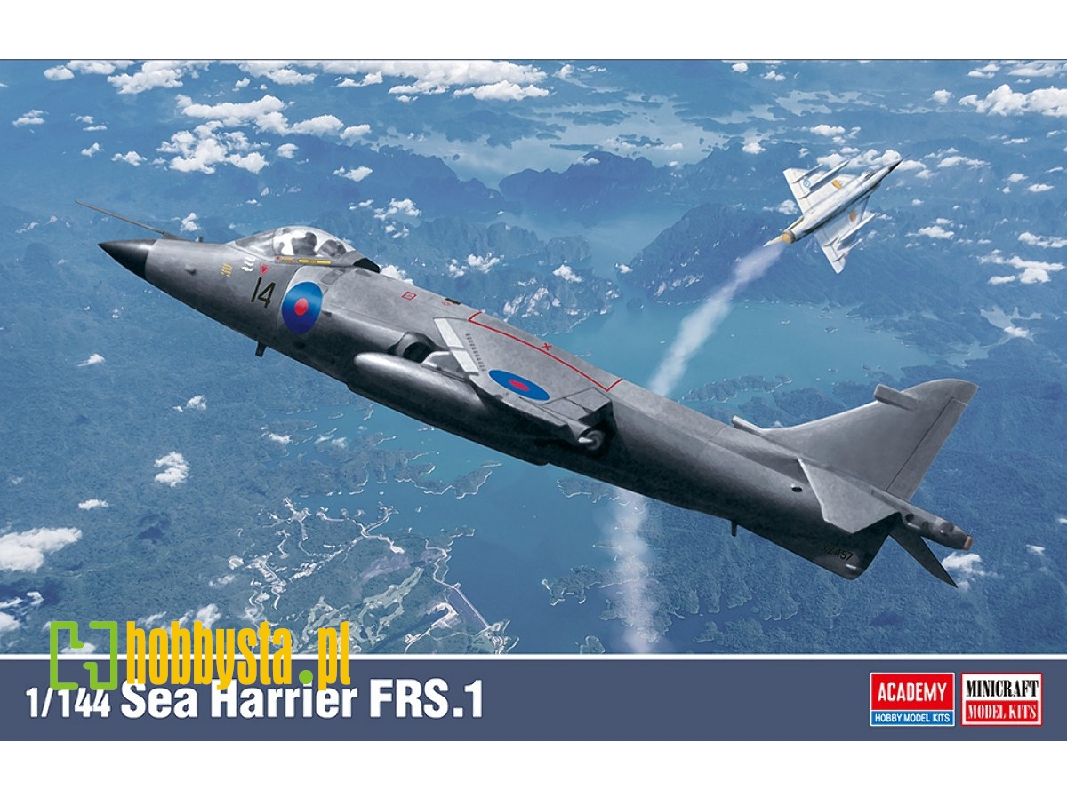 Bae Sea Harrier Frs.1 - image 1