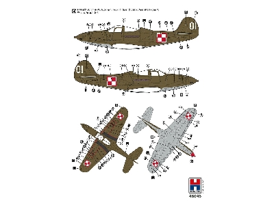 Bell P-39 Q/N Airacobra - Eastern Front - image 3