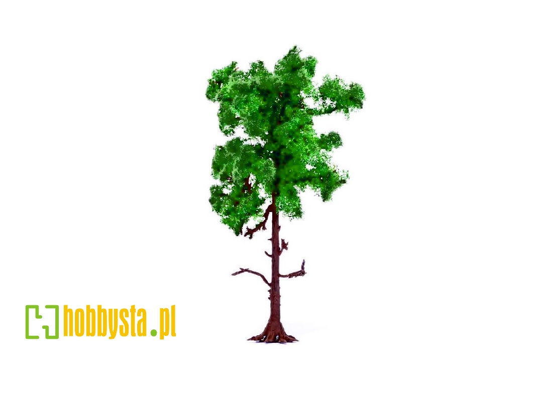Skale Scenics - Medium Pine Tree 12 Cm - image 1