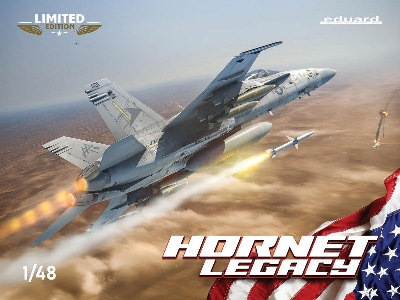 Hornet Legacy ( F/A-18 C Hornet) - image 1
