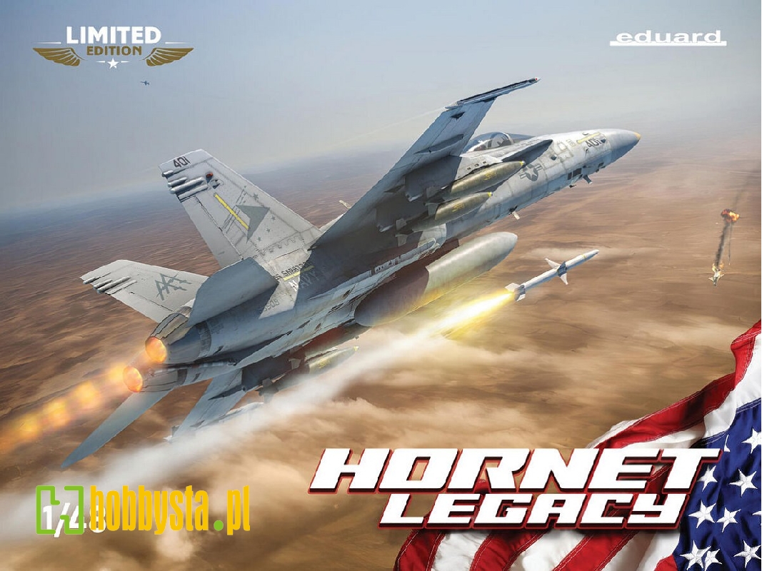 Hornet Legacy ( F/A-18 C Hornet) - image 1