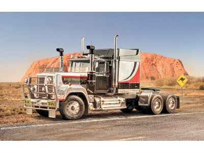 Black Thunder Australian Truck - image 1