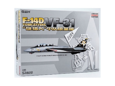 Grumman F-14 D - Tomcatters Vf-31 - image 1