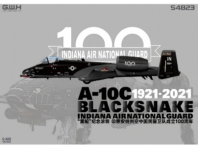 A-10c Blacksnake Indiana Air National Guard 1921-2021 - image 1