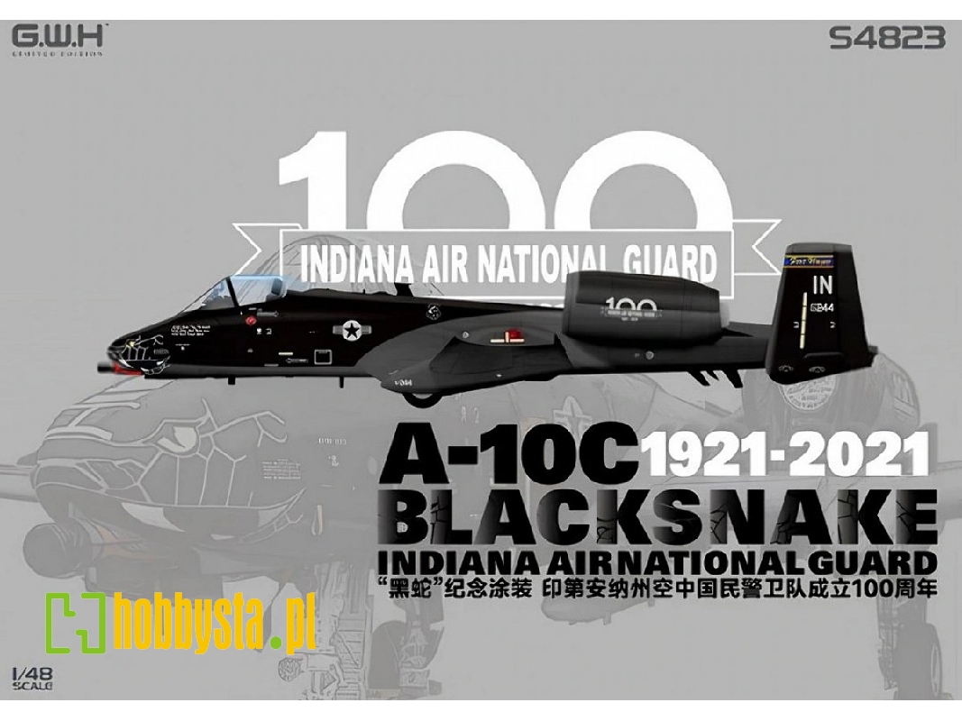 A-10c Blacksnake Indiana Air National Guard 1921-2021 - image 1