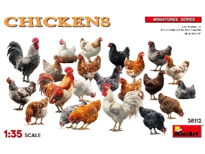 Chickens - image 1