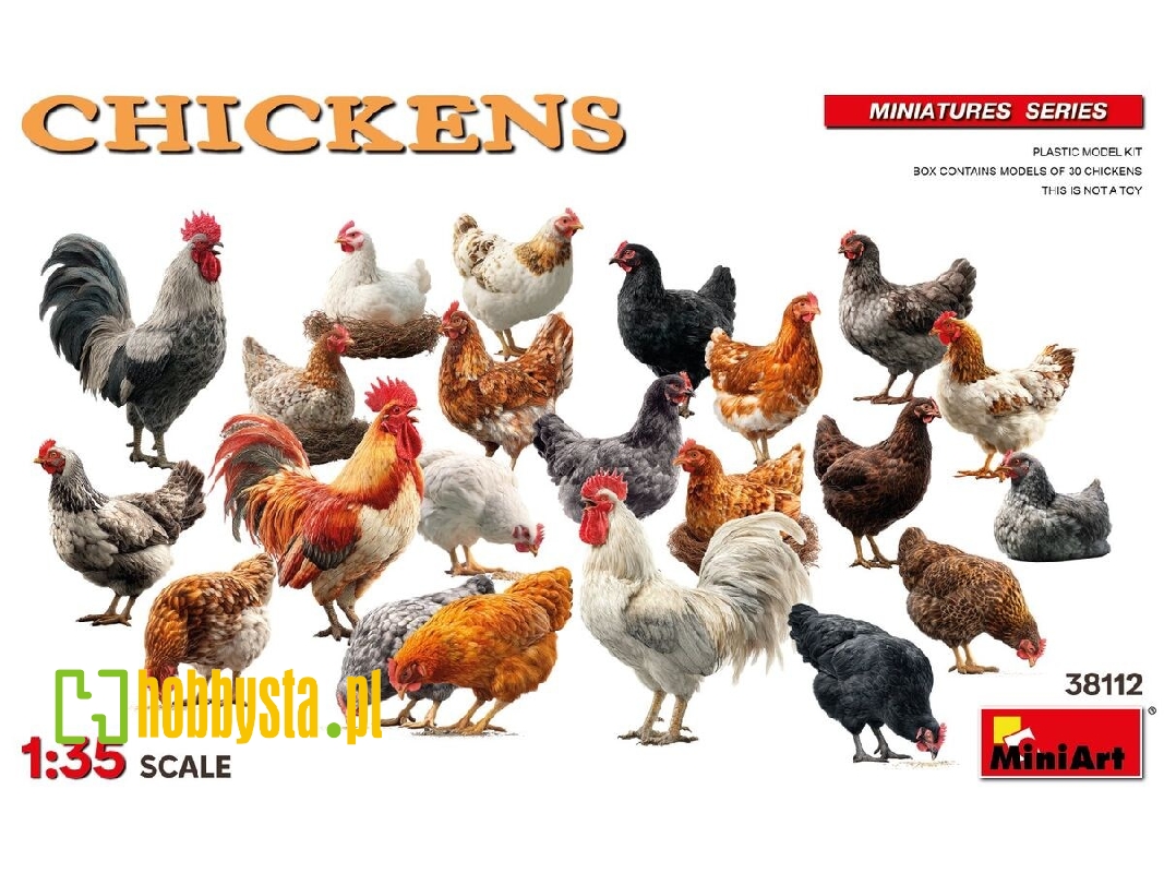 Chickens - image 1