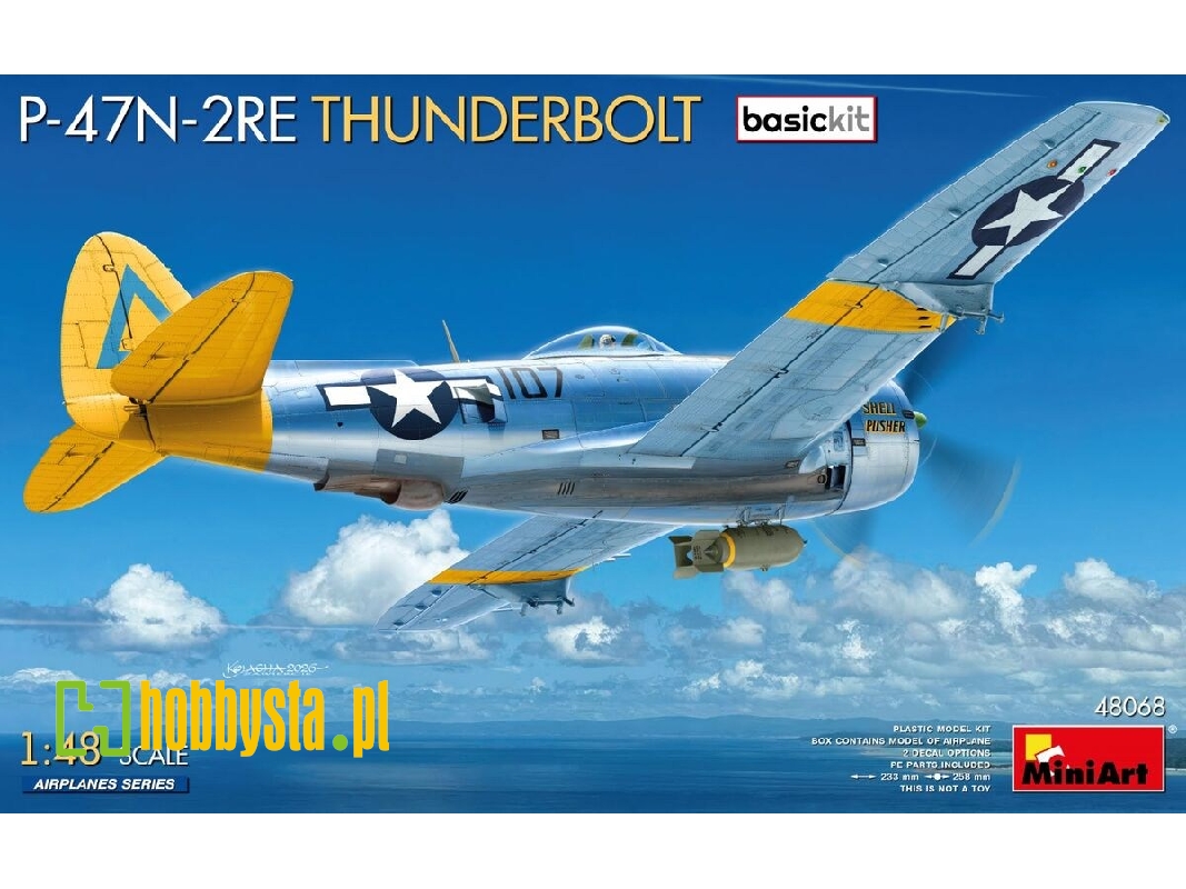 Republic P-47n-2re Thunderbolt (Basic Kit) - image 1