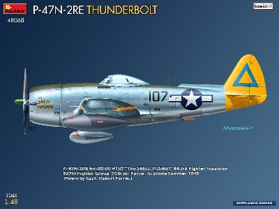 Republic P-47n-2re Thunderbolt (Basic Kit) - image 2