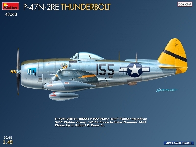 Republic P-47n-2re Thunderbolt (Basic Kit) - image 13