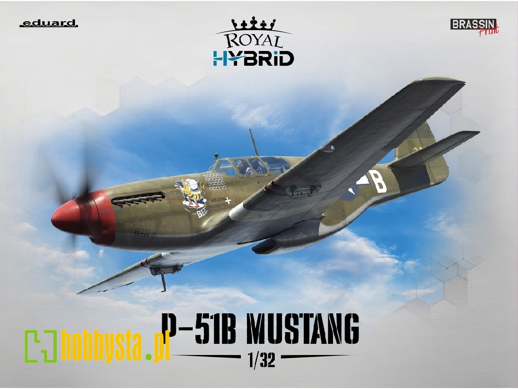 Nortn American P-51 B Mustang (Royal Hybrid Edition) - image 1