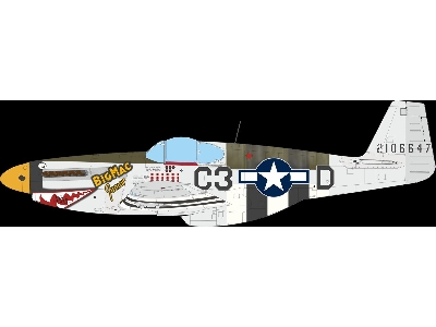 Nortn American P-51 B Mustang (Royal Hybrid Edition) - image 6