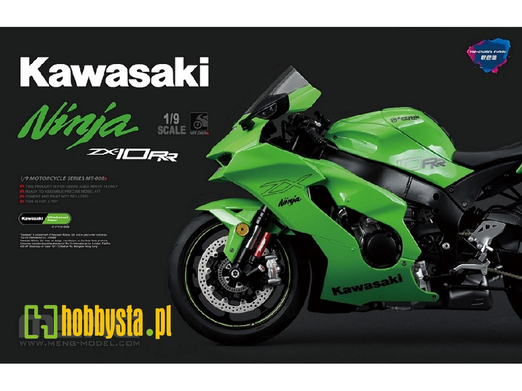 Kawasaki Ninja Zx-10rr - Pre-colored Edition - image 1