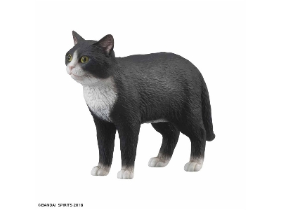Neko Bosou Tenko Mori - image 3