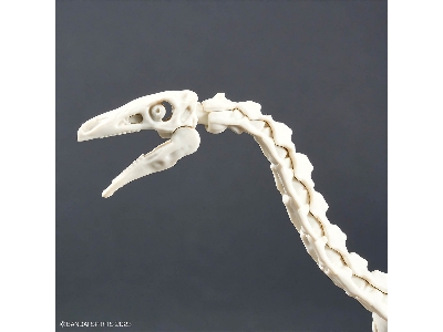 Plannosaurus - Therizinosaurus - image 10