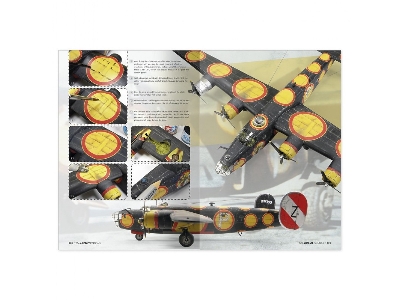 The Weathering Aircraft (Twa) Essentials (English) - image 3