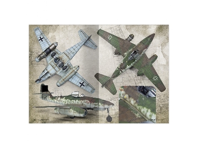 The Weathering Aircraft (Twa) Essentials (English) - image 5