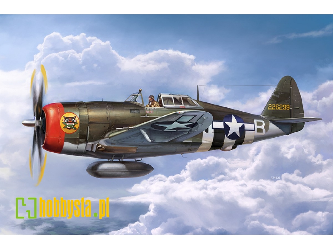 Republic P-47 D Thunderbolt Razorback - image 1
