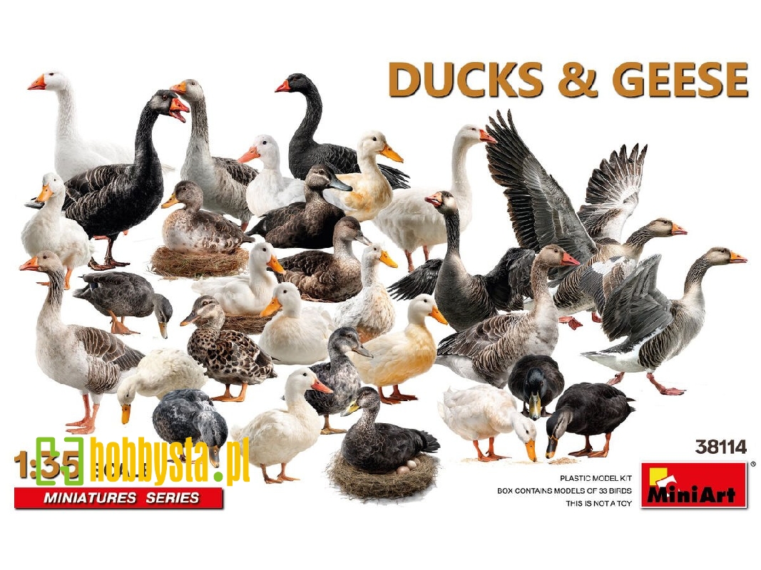 Ducks & Geese (33 Figures) - image 1