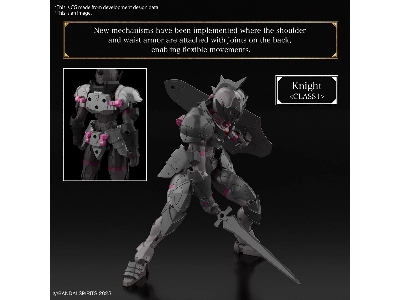 30mf Rosan Knight - image 5