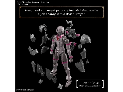 30mf Rosan Knight - image 9