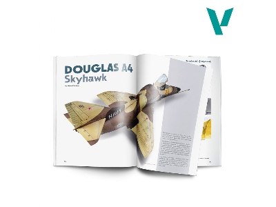 Weathering Effects On Aircraft (English Version) - image 2