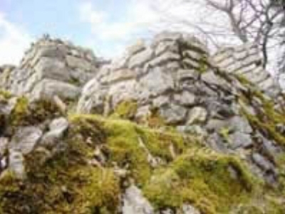 Burg Grenchen - image 3