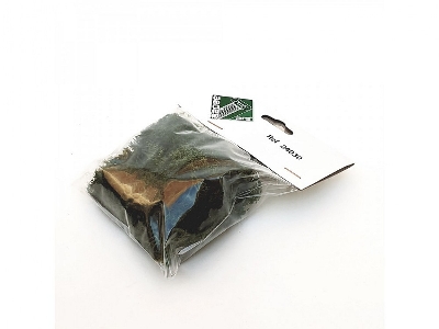 Green Moss - image 2