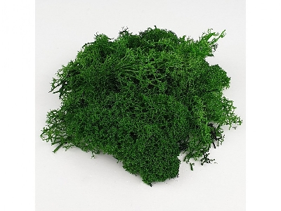 Green Moss - image 3