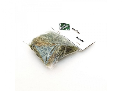 Light Green Moss - image 2