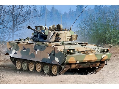 K-21 Ifv - image 1