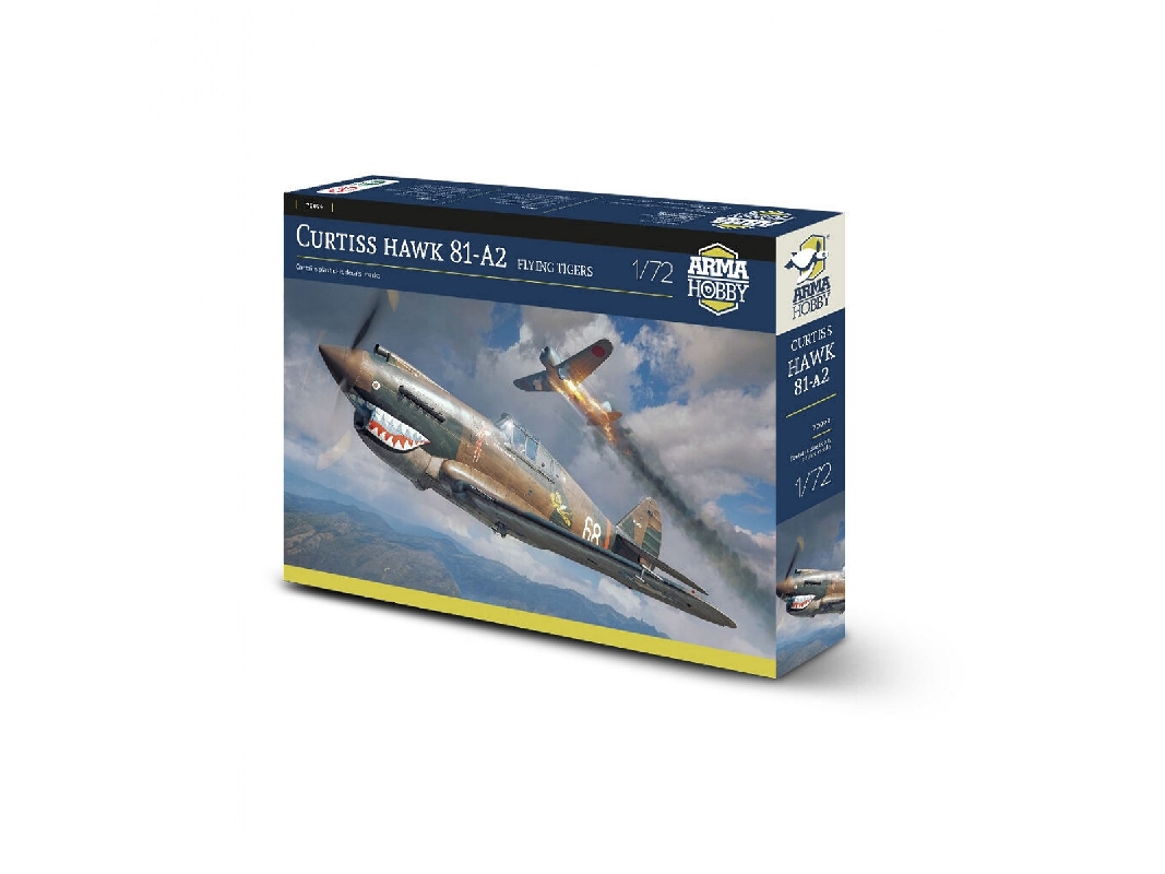 Curtiss Hawk 81-A2 - image 1